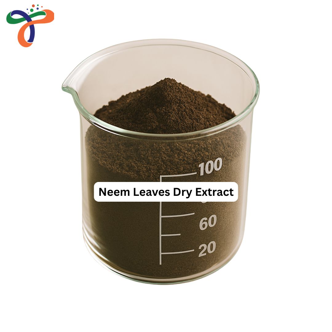 Neem Leaves Dry Extract